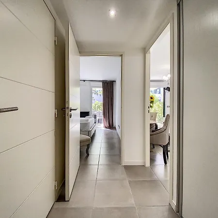 Palm With A Swimming Pool Cannes