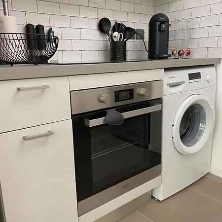 Palm With A Swimming Pool